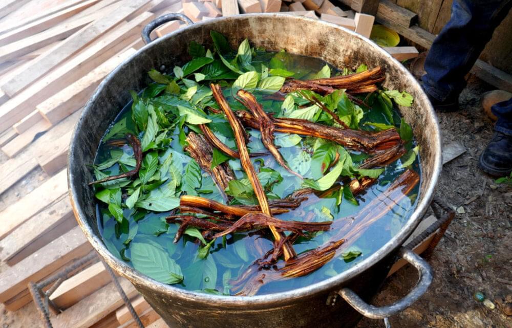 Ayahuasca photo 1