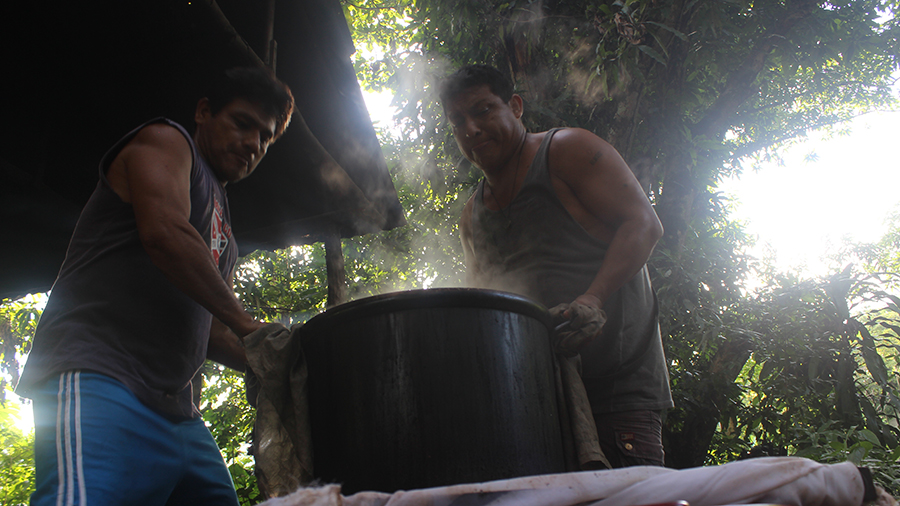 Ayahuasca photo 6