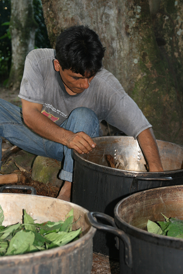 Ayahuasca photo 7