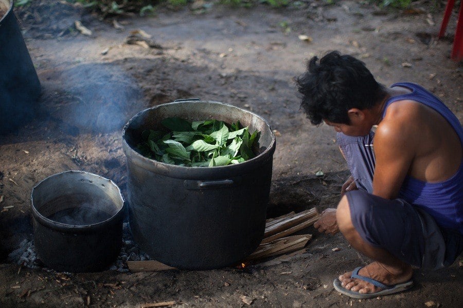 Ayahuasca photo 8