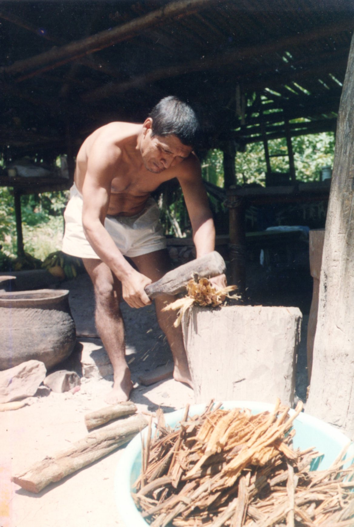 Ayahuasca photo 9