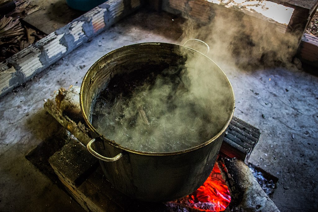 Ayahuasca brewing pot over fire