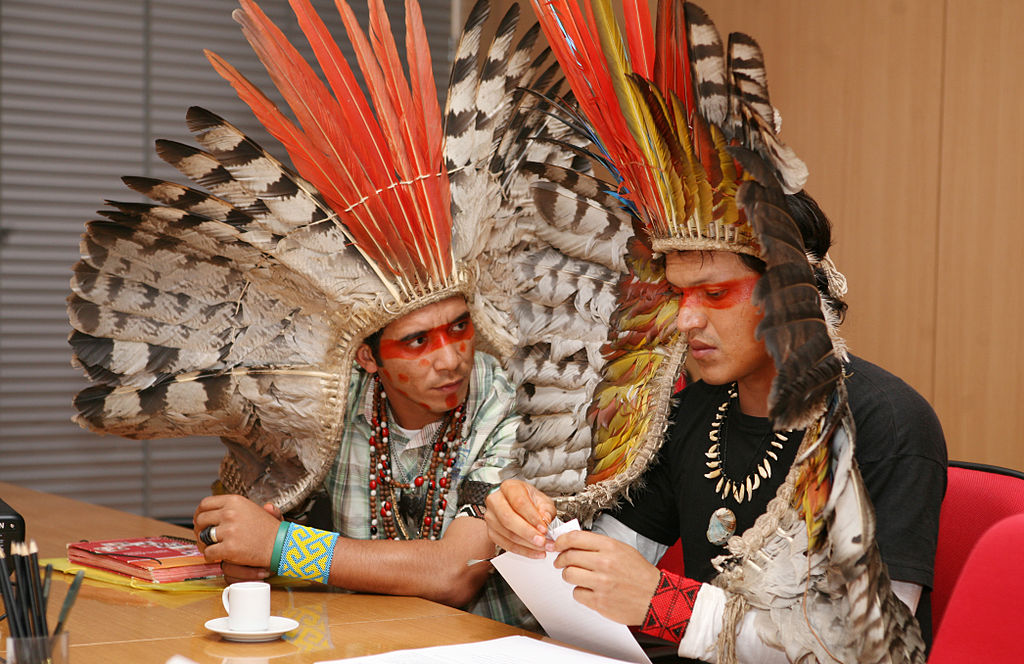 Brazilian recognition meeting for ayahuasca heritage