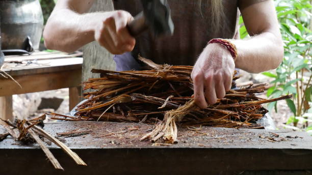 Ayahuasca inda macerálása